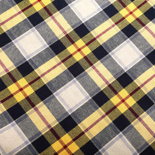 R30 新款休闲简约百搭格子双面托特包 N24JJ06649 商品图3