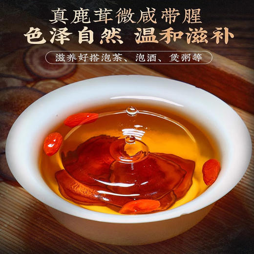 【好鹿茸，来自长白山】北京同仁堂鹿茸10克 正宗茸片男性滋补保健品 泡酒泡水喝 秋冬温和补-QQ 商品图1