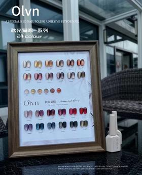 鸥璐 秋光猫眼-系列 24色套装 配送色板