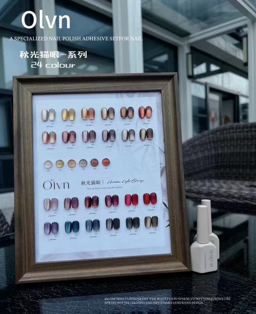 鸥璐 秋光猫眼-系列 24色套装 配送色板 商品图0