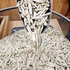 新疆马牙瓜子(原味)【500克/袋】 商品缩略图7