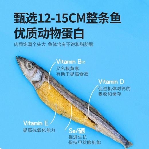 着迷零食冻干 多口味可选 猫狗通用 人食级别 原切鲜肉营养可口 商品图10