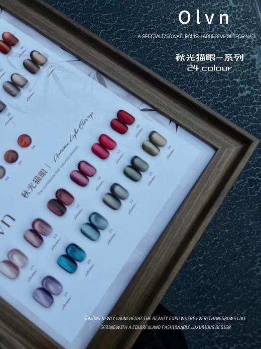 鸥璐 秋光猫眼-系列 24色套装 配送色板 商品图1