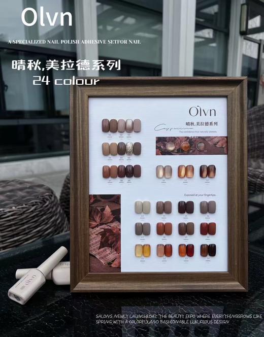 鸥璐  晴秋.美拉德24色套装 配送色板 商品图2