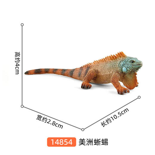 思乐 美洲蜥蜴SCHC14854 商品图1