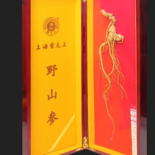雷允上野山参（二等三级）5.5g/支（以实物为准） 商品图0