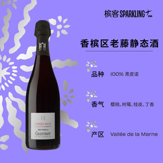 香槟区静态干红 ·  Geoffroy Cumières Rouge Millésime 2015 - Pinot Noir 酒福华黑皮诺干红葡萄酒 2015 商品图2