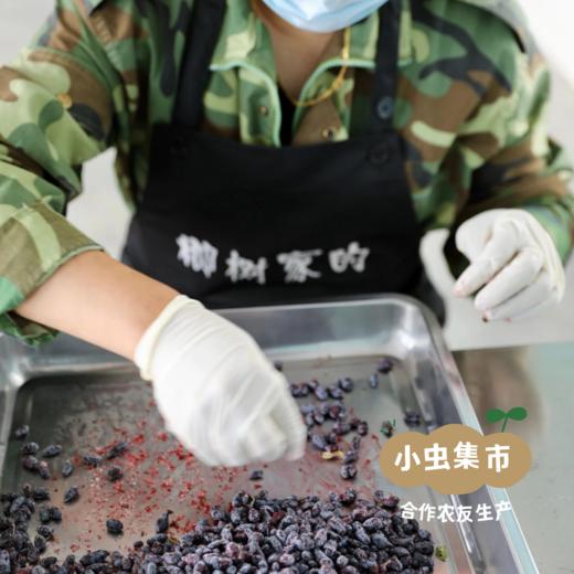 野生蓝靛酱 165g/罐 | 合作农友生产，产自黑龙江大兴安岭，生产者：柳树 &【公平贸易农人定价】 商品图14