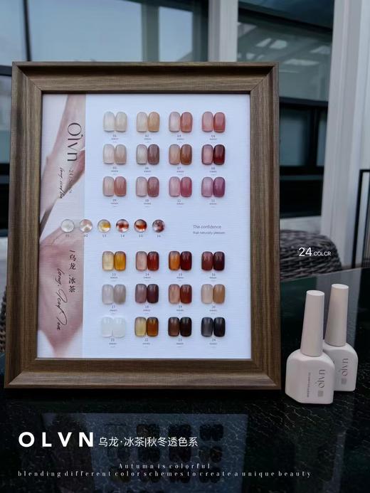 鸥璐. 乌龙.冰茶秋冬系列24色套装 配送色板 商品图0