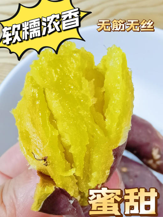 39.9到手4斤特香中小果 日系品种-【番薯中的爱马仕-玛莎莉黄金蜂蜜薯】肉质金灿灿，口感细腻，无筋无丝，软糯嫩滑，国家地理标志产品，现摘现发 商品图3