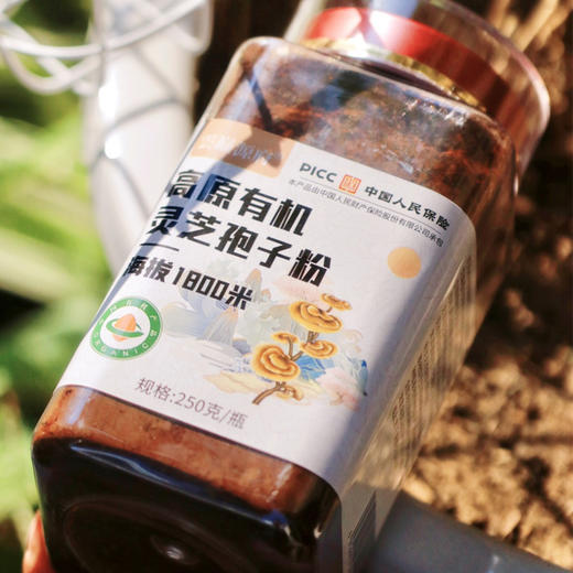 【雲巅源府】灵芝孢子粉250克/瓶🛡️ ​​增强免疫力​​，减少感冒疲劳💪 ​​改善睡眠质量​​，精神更充沛 商品图1