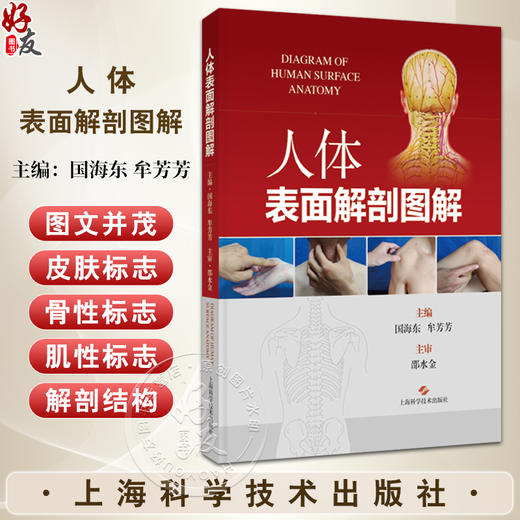 人体表面解剖图解 国海东等编 重要结构及血管 神经的体表投影 脊柱区表面解剖 上肢表而解剖 9787547868232上海科学技术出版社 商品图0
