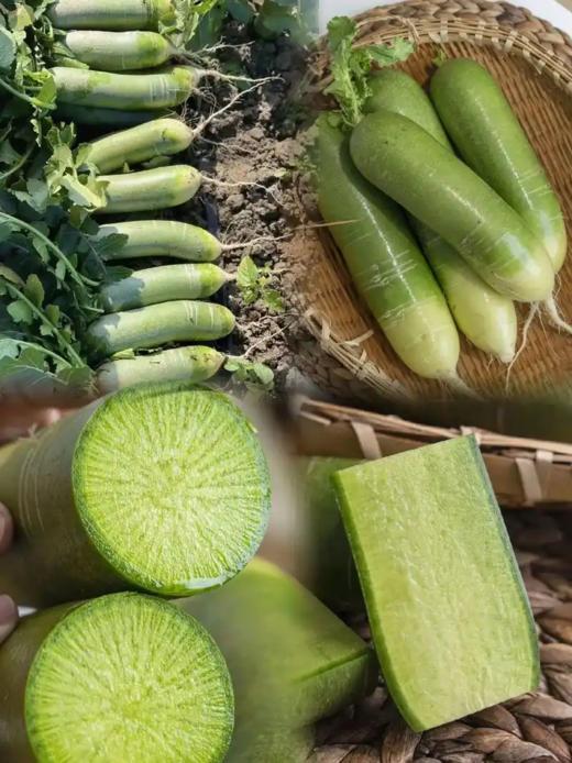 尤店水果萝卜（助农优惠大促销） 商品图2