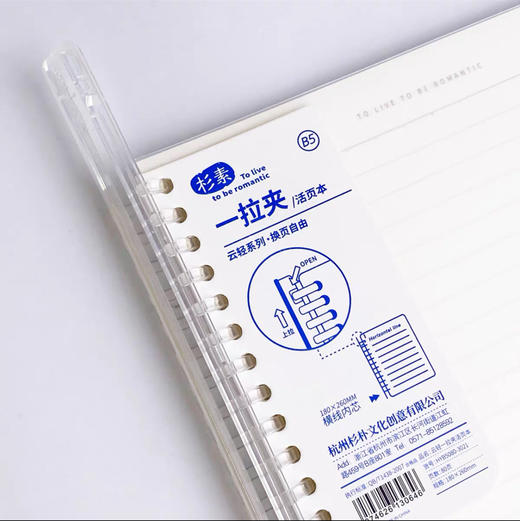 苏铁时光/溪叶 B5/A5一拉夹活页本 200克(g)（品牌随机发货） 商品图1