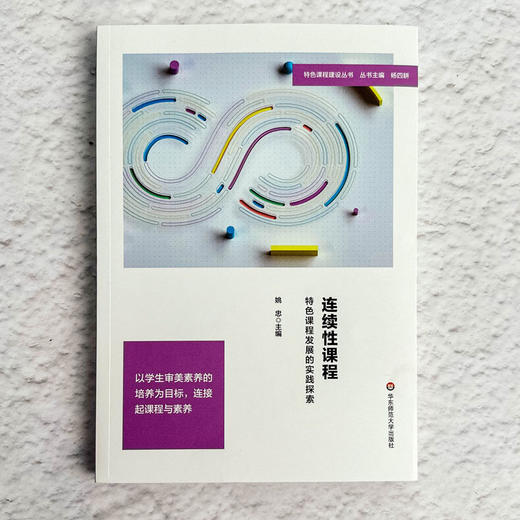 连续性课程 特色课程发展的实践探索 特色课程建设丛书 杨四耕 姚忠 审美素养 商品图1