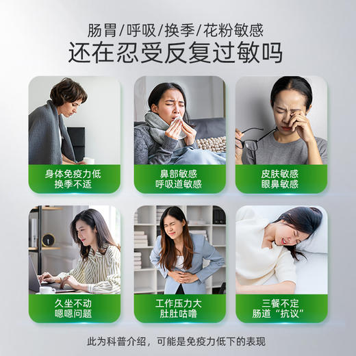 KJ   旭力元牌益生菌颗粒 9.6g 12袋 商品图4