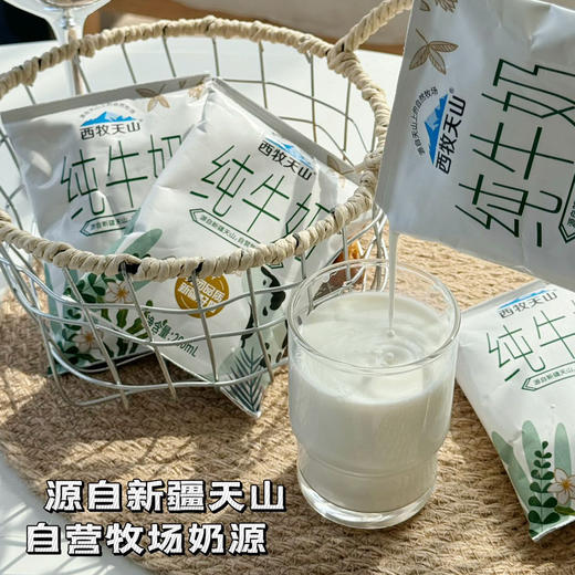 【秒杀】西牧天山纯牛奶2箱（12袋/箱，200ml/袋） 商品图0