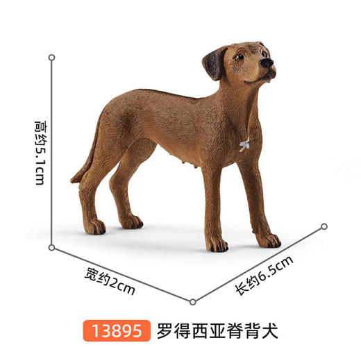 思乐 罗得西亚脊背犬SCHC13895 商品图1