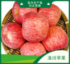 陕西洛川红富士苹果【GCDY】 商品缩略图0