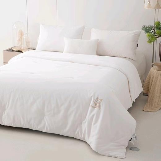 多喜爱-蚕丝被<梦回丝路加厚蚕丝冬被>，下单即赠送同规格水暖床垫 商品图1