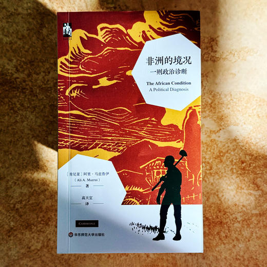 非洲的境况 一则政治诊断 著名政治学家马兹鲁伊 非洲六大悖论 商品图1