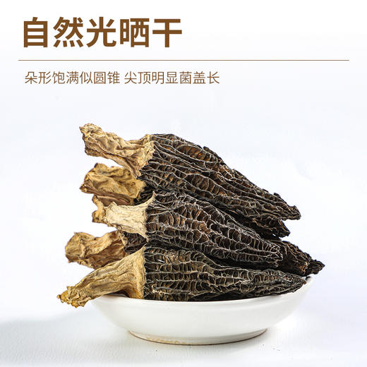 袋鼠小布新鲜菌菇煲汤食材羊肚菌 50g/袋 商品图3