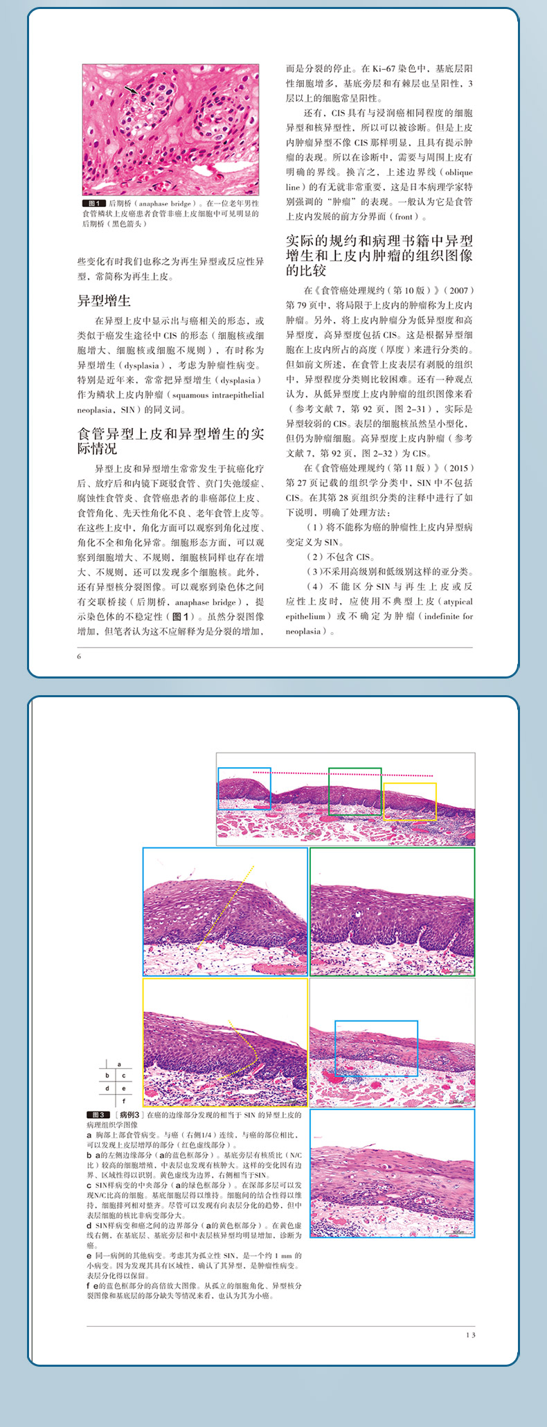 参考书1---蓝_05.jpg