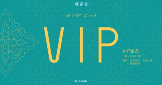 VIP会员（抽奖专用） 商品图0