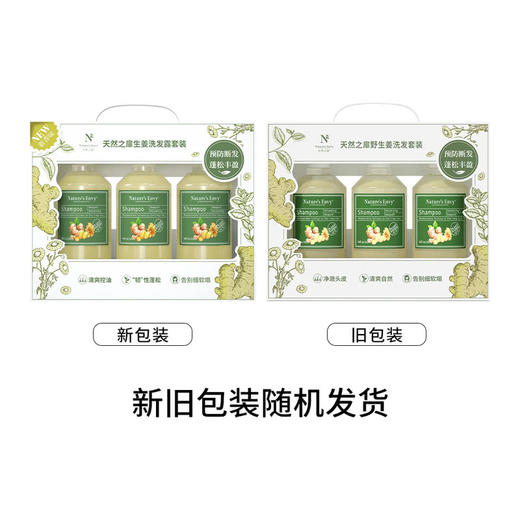 MM 山姆 天然之扉（Nature‘s Envy）美国进口 生姜洗发露套装 532ml*3 商品图4