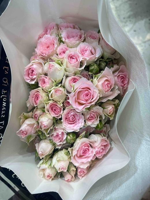 多头玫，情迷罗拉 商品图1