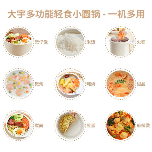 大宇迷你饭煲电煮锅DY-FB31 商品图2