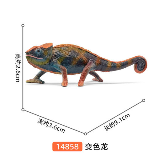 思乐 变色龙SCHC14858 商品图1