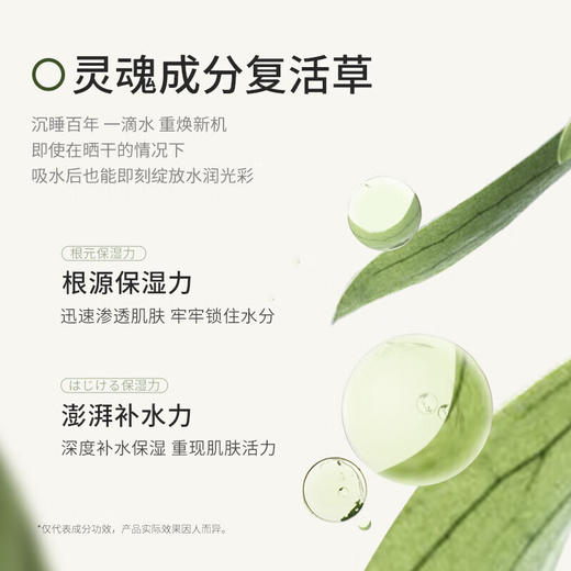 【保税仓】Bb LAB苾莱宝复活草面膜新版175g 商品图1