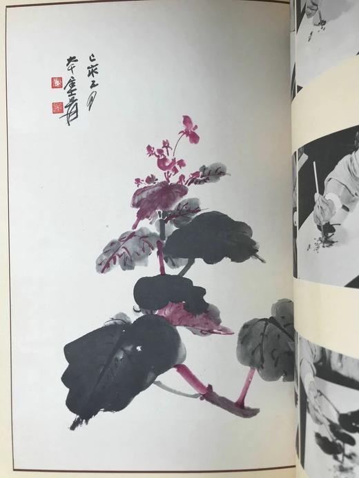 37*27cm！1961年高岭梅编 张大千画集 约百幅插图 线装8开带书匣 商品图13