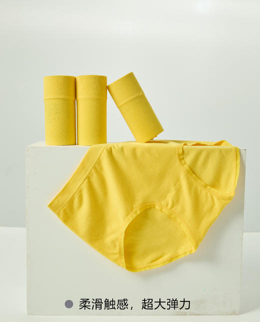 女士加肥加大版黄色裸氨内裤2103/2104 商品图3