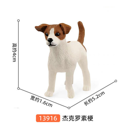 思乐 杰克罗紊梗SCHC13916 商品图1
