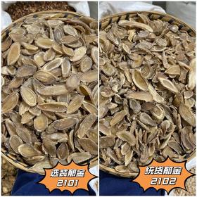 郁金  常用规格 切片 无硫 大片无碎