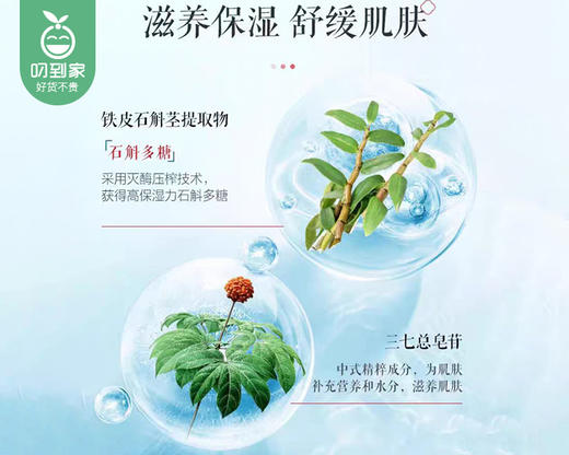 片仔癀牌石斛补水礼盒/1盒（精华水120ml*1瓶+精华乳100ml*1瓶） 商品图3