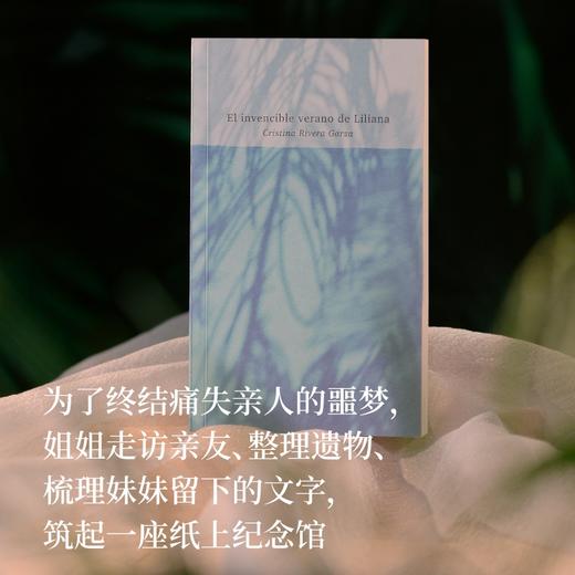 莉莉亚娜不可战胜的夏天 | 获2024普利策回忆录/自传奖 商品图2