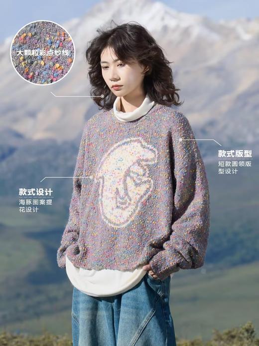 马得工地/MDGDMY244338/海豚提花彩点圆领毛衣 商品图1