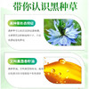 世界选物官黑种草籽油30粒 商品缩略图2