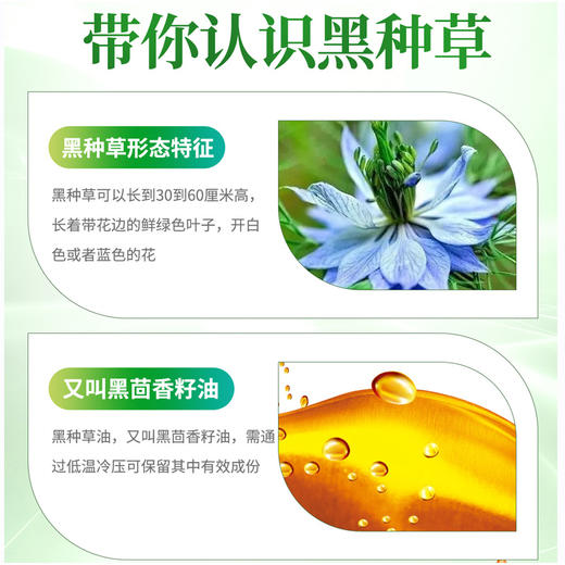 世界选物官黑种草籽油30粒 商品图2