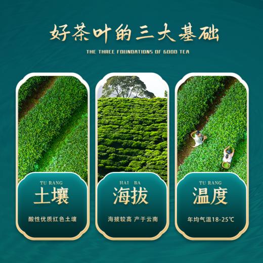 云南 云州问境 高山 古树普洱 生茶 紧压茶 357克 商品图4