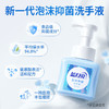 蓝月亮  琥珀雪松泡沫抑菌洗手液255g*3 商品缩略图5