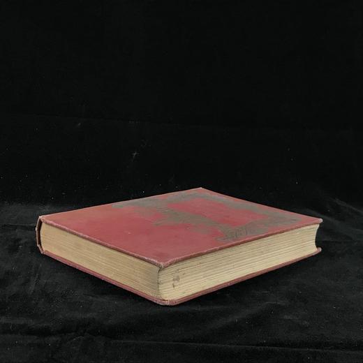 1916年 俄国故事集 Frank C. Papé16幅彩色与大量黑白插图 漆布精装大32开 商品图1