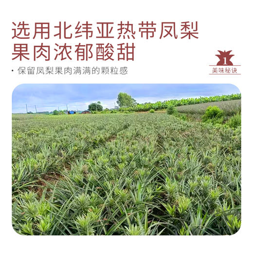 厦门老字号太祖土凤梨酥纯凤梨馅酸甜适宜礼盒装300g/500g特产 商品图4