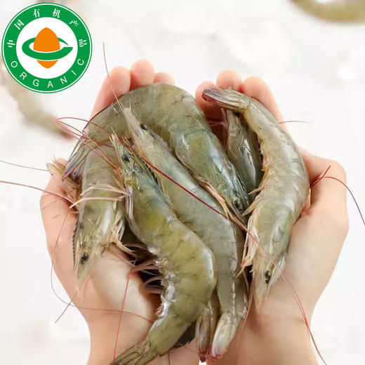 俏虾客【有机虾仁干】 有机金钩海米  100g/盒*3盒 商品图6