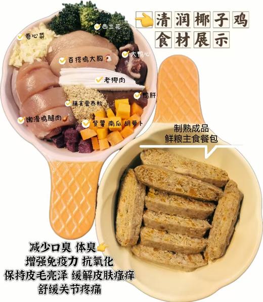 狗主食鲜粮 清润椰子鸡200g一包装/制熟发货常温保存开袋即食 商品图1