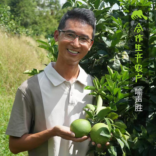 生态赣南脐橙|合作生产*Ecological Gannan navel orange| Partner Production 商品图7