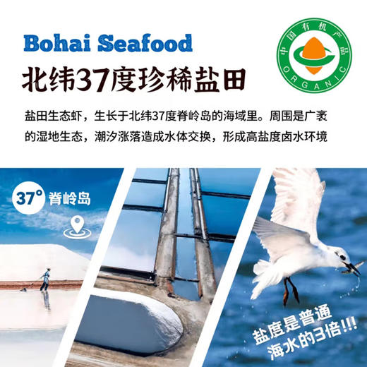 俏虾客【有机虾仁干】 有机金钩海米  100g/盒*3盒 商品图5